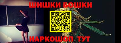 МДПВ Партизанск
