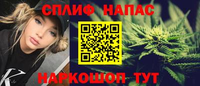 МДПВ Партизанск