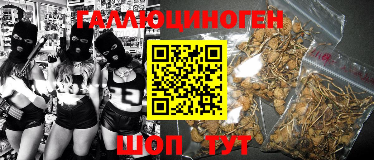 Галлюциногенные грибы GOLDEN TEACHER Светлоград