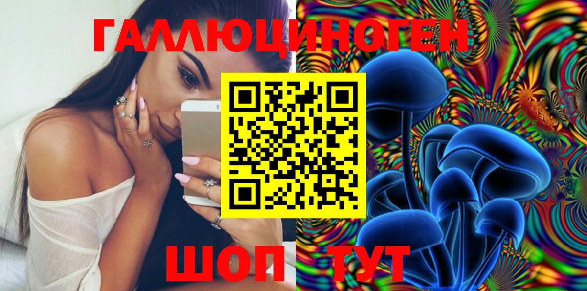 Псилоцибиновые грибы Psilocybe  Вход с VPN  Светлоград 
